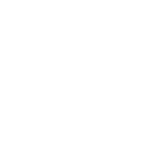 Client 12